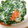 ユーロン's cooksnap of when they made ほうれん草の白和え。.