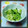 kuuring's cooksnap of when they made ◆簡単◆白菜ときゅうりの漬け物.