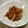 Haru Haru's cooksnap of when they made イカと大根のすき焼き風～☆.