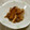 Haru Haru's cooksnap of when they made イカと大根のすき焼き風～☆.