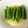 ロンロン草原's cooksnap of when they made 簡単☆いんげんの中華風塩炒め.