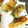 トミ子's cooksnap of when they made 揚げない簡単春巻き.