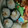 キャネ♪'s cooksnap of when they made さんまの海苔巻き.