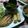CHI〜CHAN's cooksnap of when they made 好き嫌い克服！ピーマンの簡単焼きびたし.