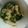 ゆきのひうまれ's cooksnap of when they made ダイエットに子供が喜ぶ山芋とおくらの副菜.