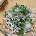 くるるん♡'s cooksnap of when they made しょうがと大葉が香る♪しらすおろし.