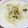 EnjoySun's cooksnap of when they made 白菜とベーコンのクリームスープ.