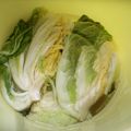 tomokoshiawase's cooksnap of when they made 失敗しない☆白菜漬け.