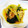 のん＊＊'s cooksnap of when they made 小松菜とえのきのお浸し.