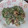 マダムユキ's cooksnap of when they made 豚肉とピーマンの昆布マヨ炒め.