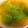 クマたぬき's cooksnap of when they made ベーコン＋えのき＋レタスのスープ.