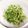soleil805's cooksnap of when they made レンジで水菜のナムル.