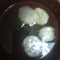 守山桜's cooksnap of when they made いい香り♪かつお節と麩のお吸い物.