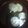 守山桜's cooksnap of when they made いい香り♪かつお節と麩のお吸い物.