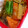 おっちょこメイド's cooksnap of when they made 簡単！鮭のちゃんちゃん焼き♡.