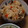 ＰＮＮ's cooksnap of when they made 鶏肉ときのこ４種旨味たっぷり炊き込みご飯.