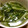 となりのカタコ's cooksnap of when they made 通風対策！ワカメと豆苗の中華スープ.