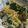 クックDNBP60☆'s cooksnap of when they made わかめ入りボンゴレビアンコ.