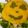 いよかんだいすき's cooksnap of when they made ハロウィンパーティに☆カボチャドーム♪.