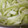 しさお's cooksnap of when they made 簡単☆セロリといかくんのマリネ.