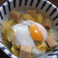 kisaragicats's cooksnap of when they made ★高野豆腐ときのこと野菜のすき焼き丼★.