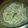 Broccoli's cooksnap of when they made ゴマたっぷり♪れんこんのゴママヨサラダ.
