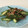Beauvior's cooksnap of when they made 簡単すぎる！オクラの梅おかか和え.