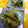 みかぱちこ's cooksnap of when they made ほうれんそう☆ごまマヨ和え.