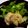 こあらなお's cooksnap of when they made 鶏塩唐揚げ.