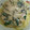 カノコソウ's cooksnap of when they made 簡単！濃厚きのこの和風クリームパスタ♡.