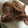 クックOPLXMU☆'s cooksnap of when they made ！コク旨！マヨオイスターソースのイカ炒め.