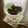 ○かづこ○'s cooksnap of when they made Cookies & Cream　ヨーグルト♪.