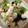 yayukomi's cooksnap of when they made レタスとお豆腐とのりのサラダ.