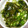 せんひこ's cooksnap of when they made わかめときゅうりの中華風.