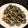 梅きゅうり's cooksnap of when they made アレルギーっ子　たこ焼きもどき.