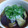 なおなお太's cooksnap of when they made 茄子の焼き浸し.