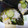 ゆりぼぉ's cooksnap of when they made 洋風手巻き寿司.