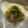 ピーナッツ子♪'s cooksnap of when they made 牡蠣屋さんの牡蠣とキノコのクリームパスタ.