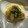 ピーナッツ子♪'s cooksnap of when they made 牡蠣屋さんの牡蠣とキノコのクリームパスタ.