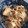☆ｷｬｻﾘﾝ☆'s cooksnap of when they made えのきと厚揚げのバター醤油炒め.