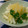 えいとさん's cooksnap of when they made マヨネーズ＆ゆず胡椒でサラダ.