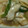 カズ妻's cooksnap of when they made 豚肉と玉ねぎの炒めもの☆簡単スピード料理.