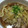 クックK58YF4☆'s cooksnap of when they made 重ね鍋風☆行程2つの白菜とバラ肉のうどん.