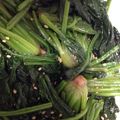 まーきち。's cooksnap of when they made ほうれん草の胡麻和え.
