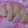 ほげウサ。's cooksnap of when they made 梨メープル.