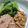 やぎ座のひつじ's cooksnap of when they made こまツナっとう???.