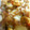 ☆★ココア★☆'s cooksnap of when they made 残り物カレードリア.