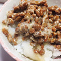 鍋子ちゃん's cooksnap of when they made 納豆と大根おろしのぶっかけ丼。.
