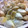 ふわニャンコ　's cooksnap of when they made １０秒で！！つるりんにんにくの皮剥き.