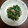 kohirochan's cooksnap of when they made ☆ほうれん草とシーチキンの和え物☆.